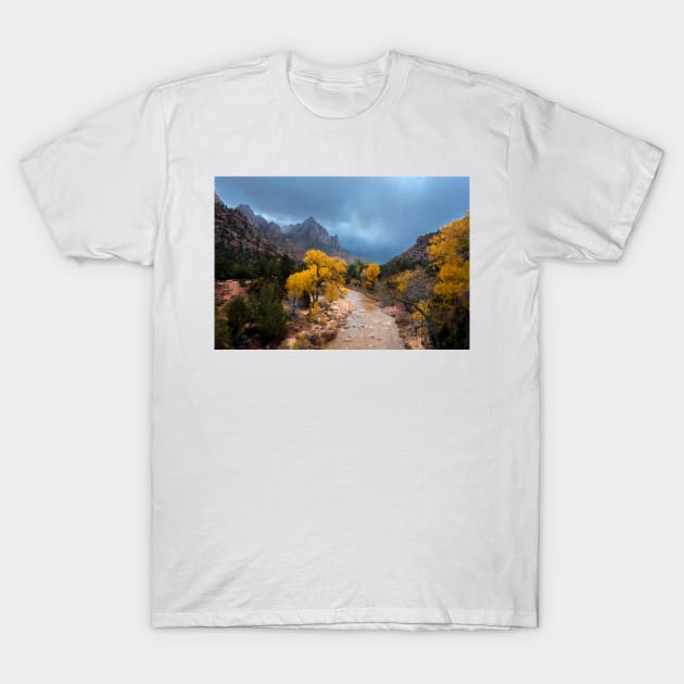 Zion National Park T-Shirt by dawn2dawn